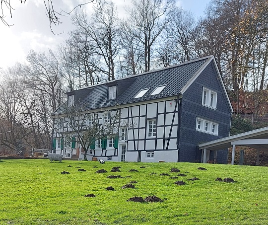 Hengsten - 2022